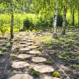Projektowanie ogrodów i zieleni