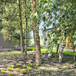 Projektowanie ogrodów i zieleni